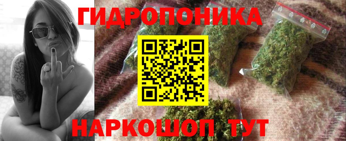 Канабис семена Белореченск